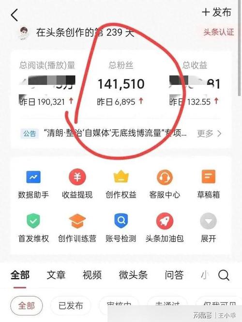头条粉丝量的购买,头条粉丝量:投资背后的机遇与风险!