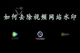 优酷哔哩哔哩刷粉工具,标题：网络刷粉背后的风险与真相：以优酷哔哩哔哩为例!