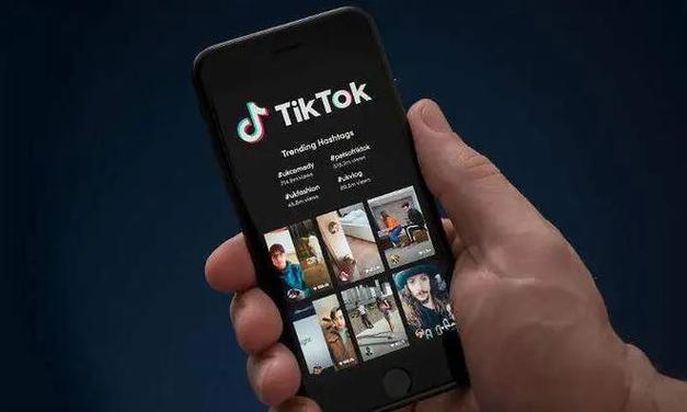tiktok无法关注买赞评论,揭秘 TikTok 买赞评论的真相:一个值得深思的话题!