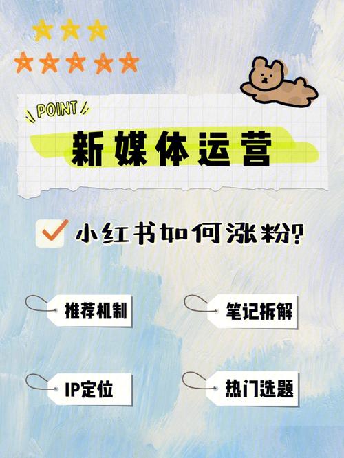 小红书涨粉关键,小红书涨粉关键：从内容、互动到精准定位，全面提升！!