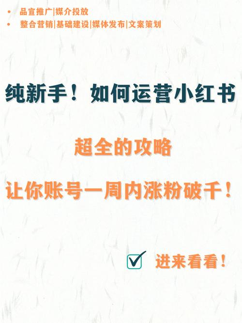 小红书一周涨粉10,小红书一周涨粉10,我的秘诀在这里!!
