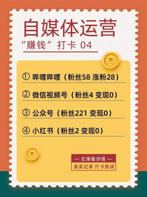 哔哩哔哩刷粉平台,哔哩哔哩刷粉平台:从粉丝到粉丝的奥秘!