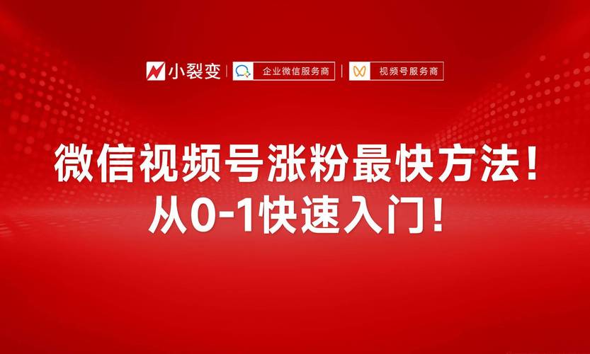 视频号涨粉窍门,视频号涨粉窍门:巧妙利用五大技巧,让你的账号火爆起来!!