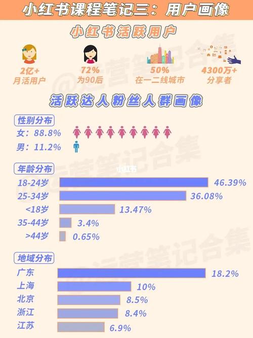 小红书怎么看粉丝画像,揭秘小红书的粉丝画像:从性别、年龄到兴趣爱好全解析!