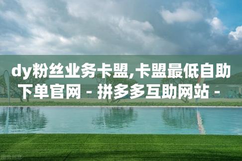 抖音粉丝购买卡盟,抖音粉丝购买卡盟:揭示背后的秘密与风险!