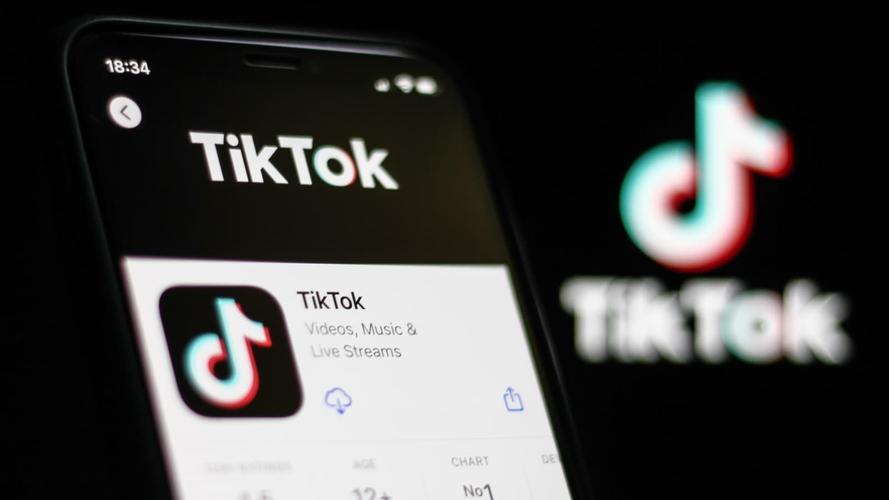 tiktok的刷粉丝mk,tiktok的刷粉丝mk:揭秘快速增加粉丝的秘密武器!